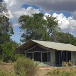 PORINI LION CAMP